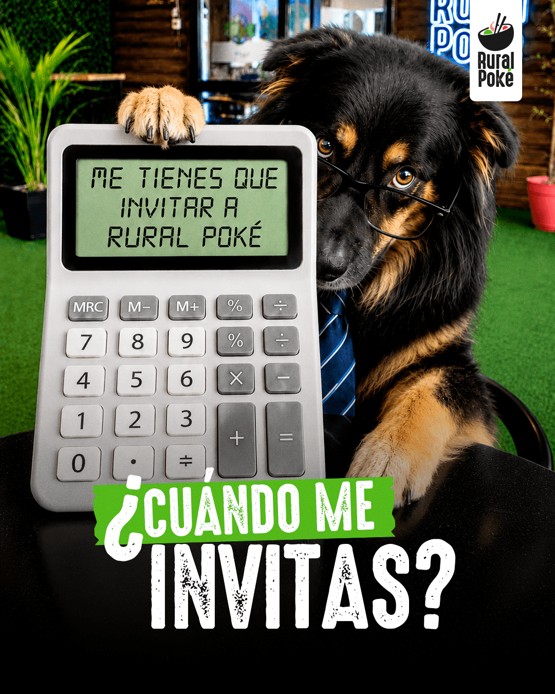 Carrusel Educativo 3